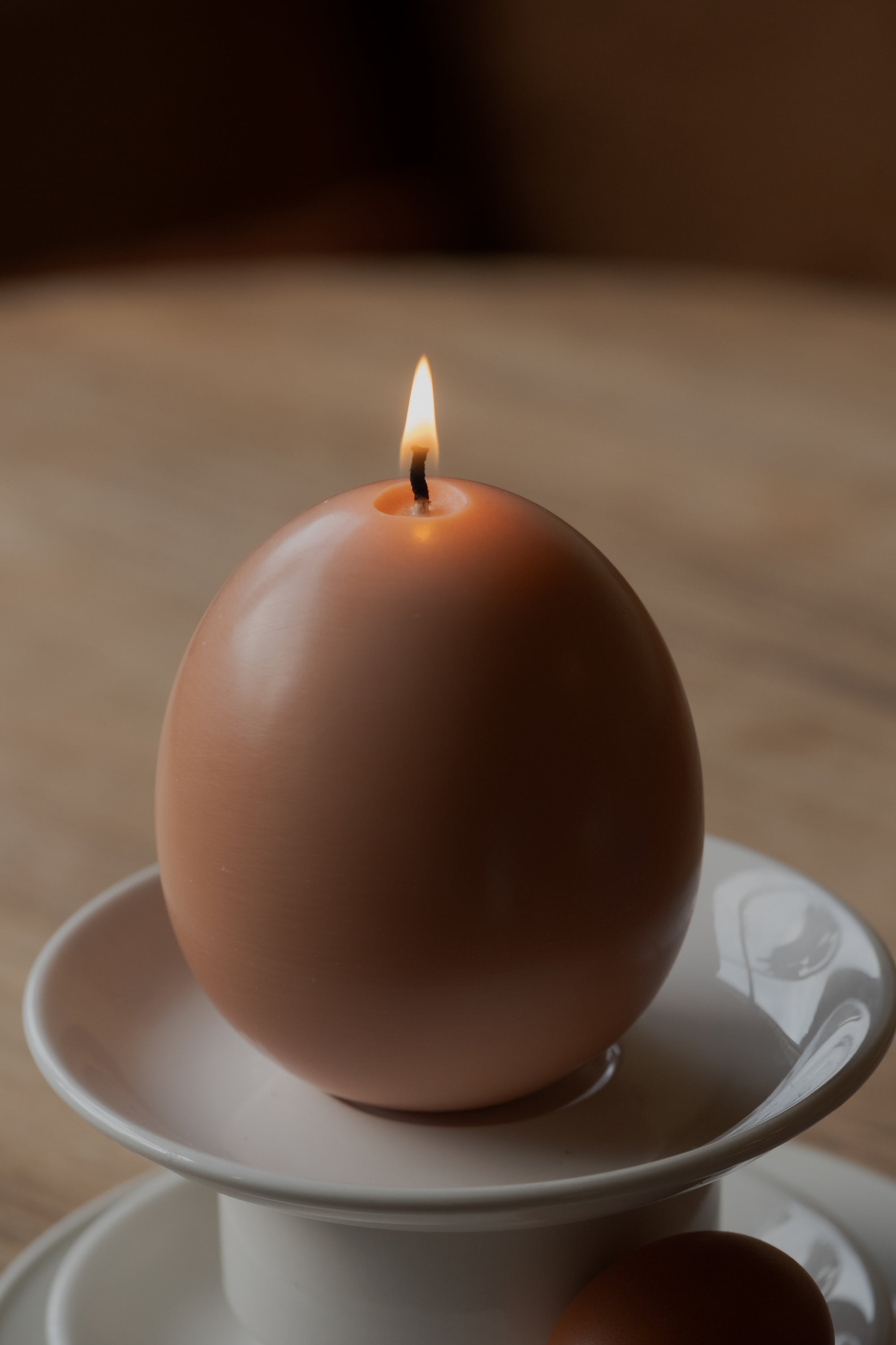 Really Big Egg